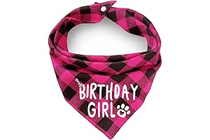 Adorable Plaids for Pooches: Birthday Dog Bandana for the Perfect Pup Party