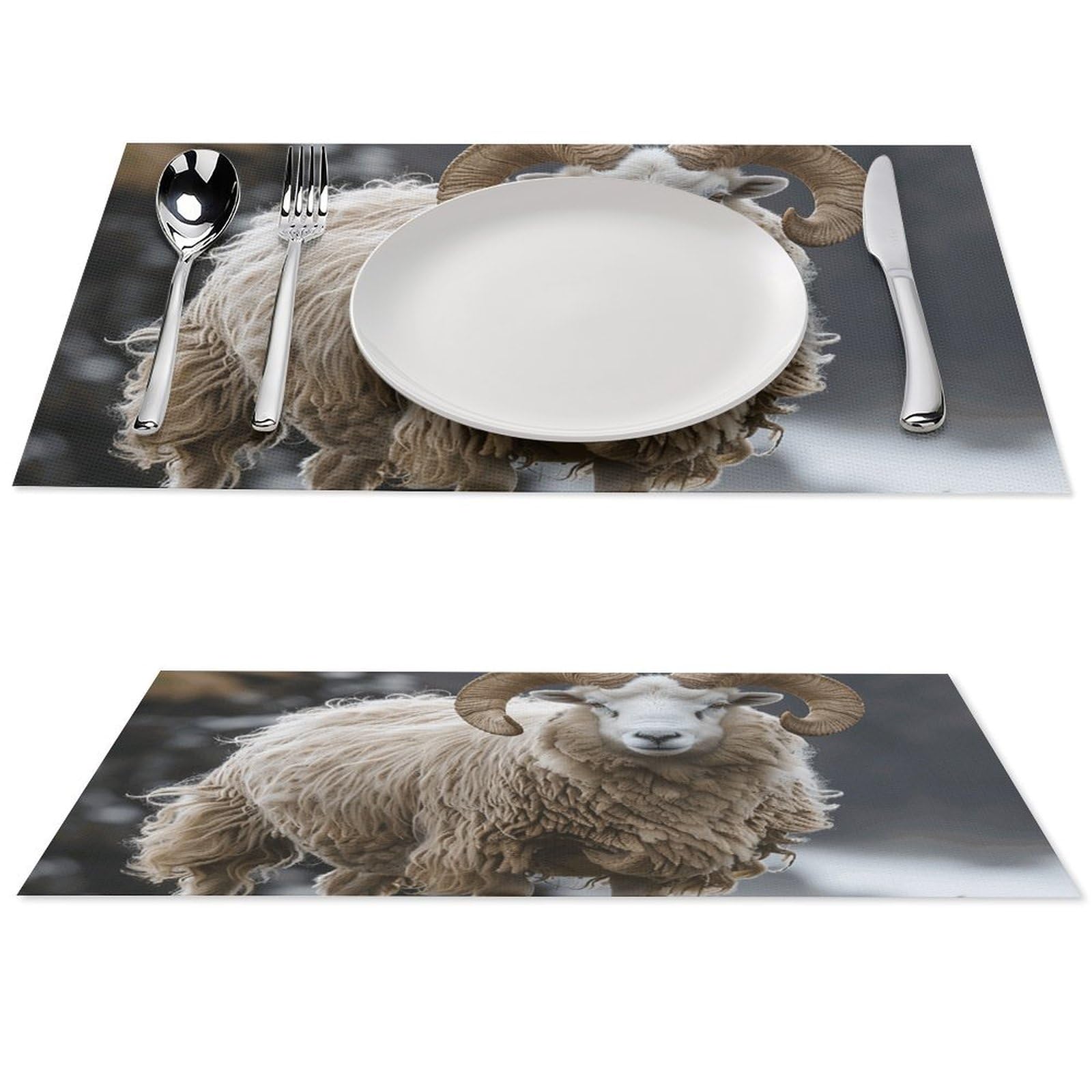 Sets de table antidérapants et thermorésistants 45x30cm lot de 6