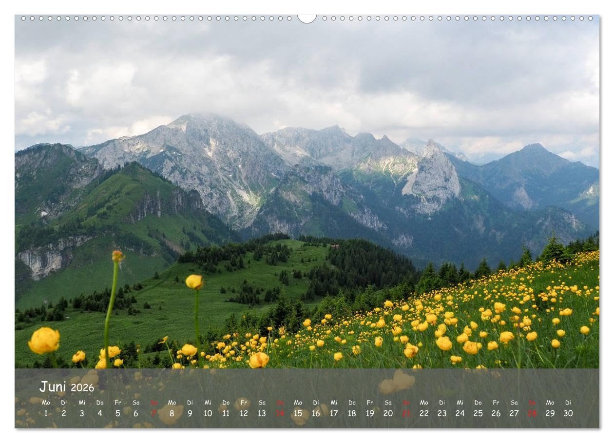 Ammergauer Alpen (hochwertiger Premium Wandkalender 2026 DIN A2 quer), Kunstdruck in Hochglanz: Einblick in den Naturpark Ammergauer Alpen Wandkalender (CALVENDO Orte)