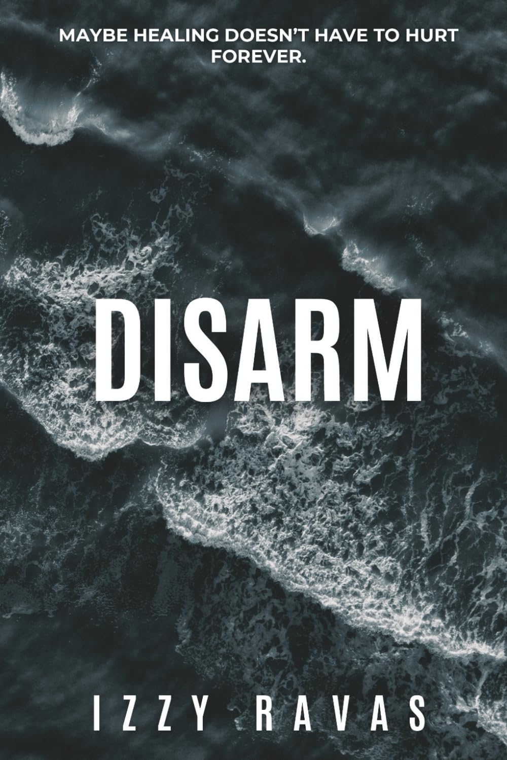 Disarm: A MM Forbidden Romance (What We Don't Say)