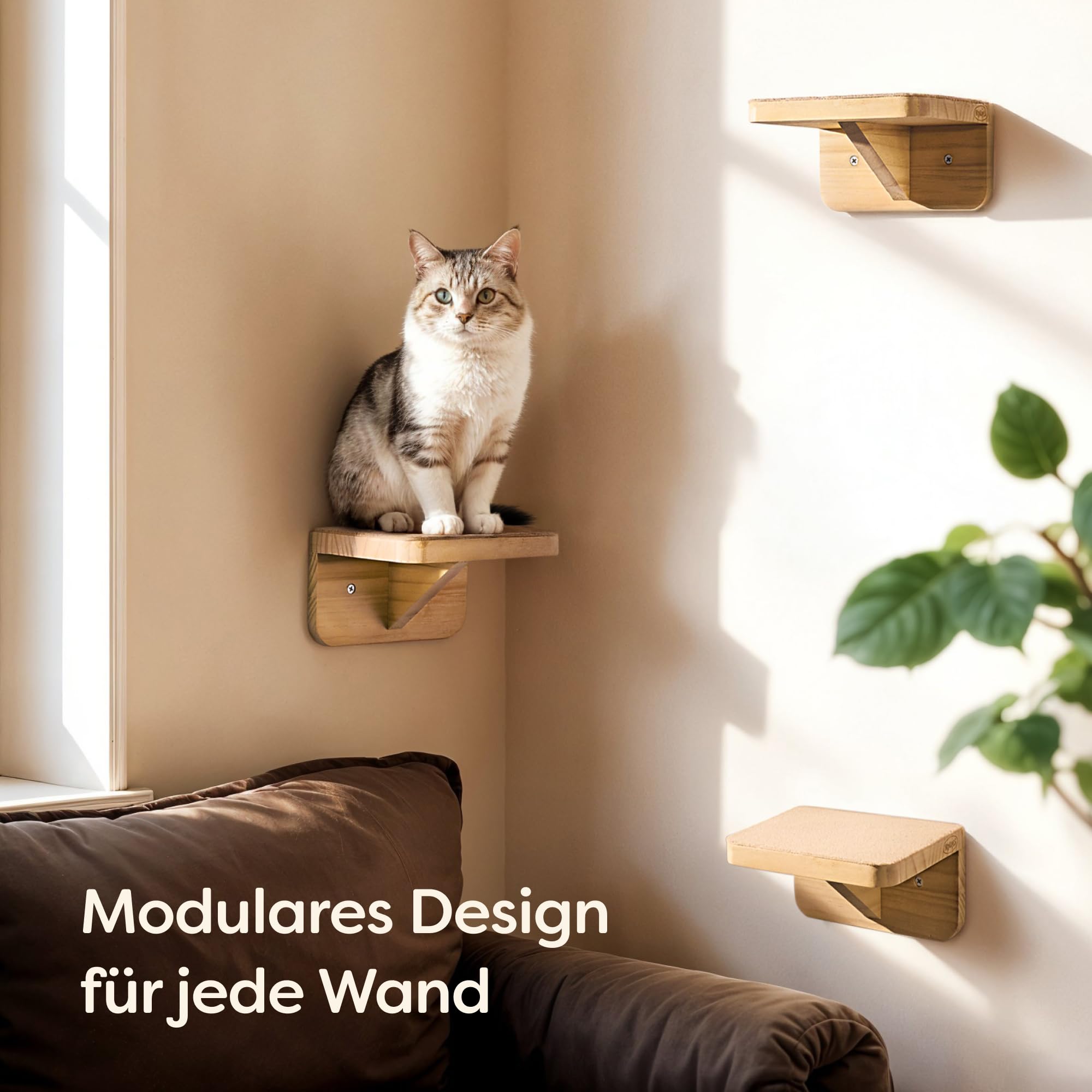 Knupis Katzen Kletterwand 3er Set – FSC® Kiefernholz für Spiel & Abenteuer – Stabile Katzentreppe bis 30 kg mit rutschfestem Vlies – Einfache Montage – Beige