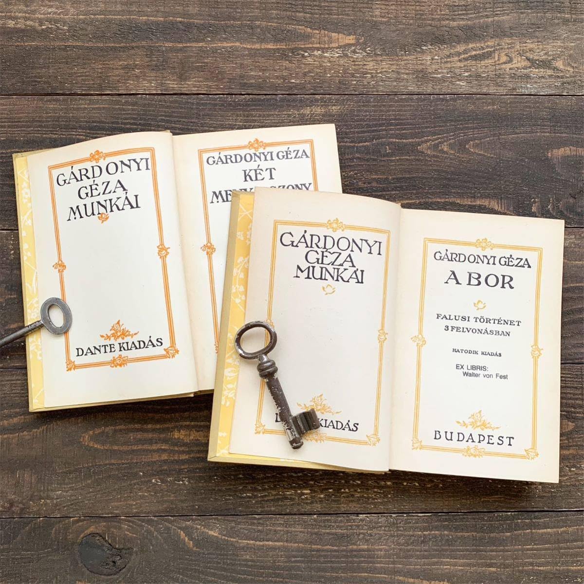 Amazon.co.jp: [アンティーク]ハンガリーのアンティーク洋書2冊セット