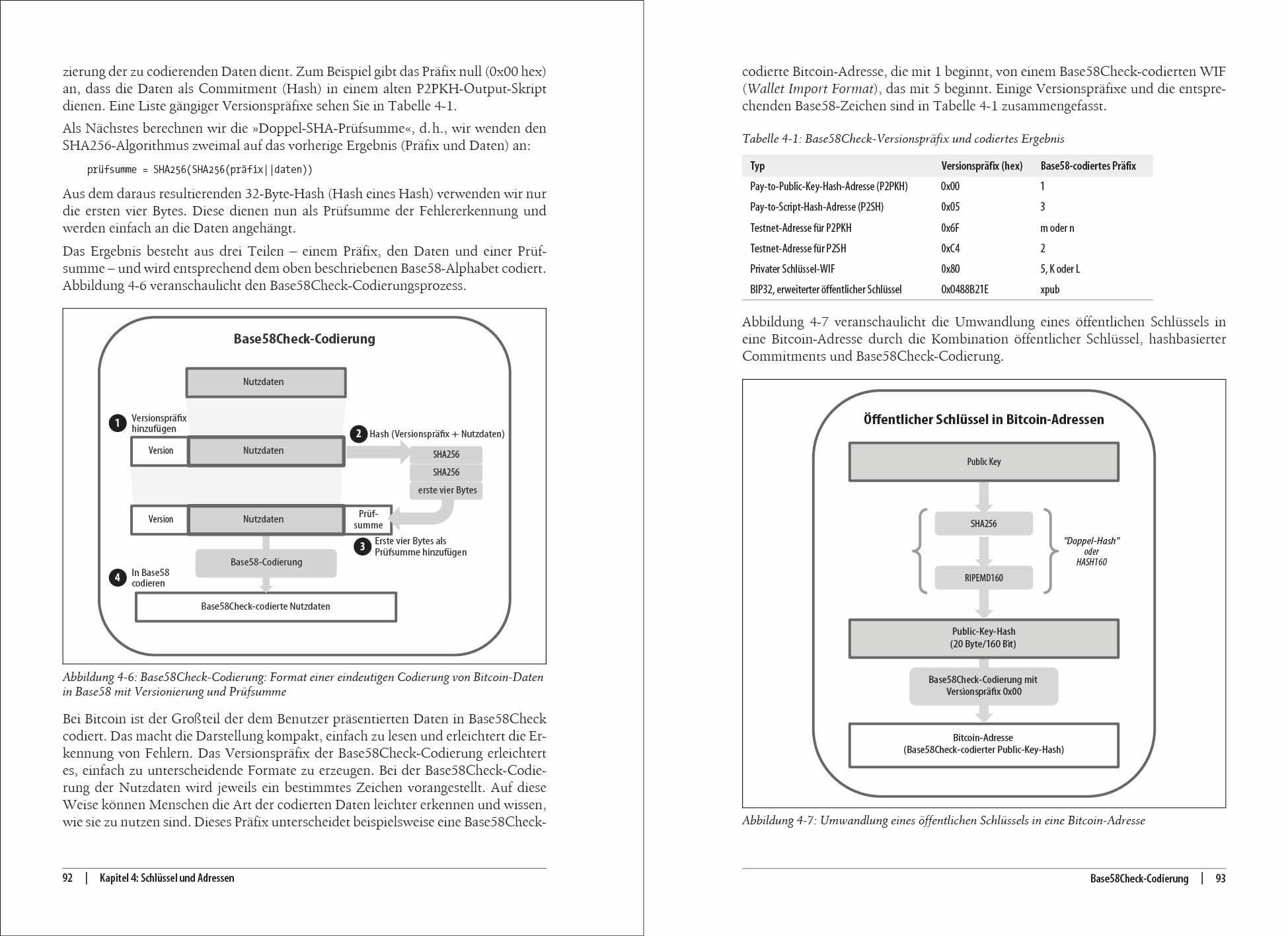 Bitcoin - Grundlagen und Programmierung: Die Blockchain verstehen, Anwendungen entwickeln (Animals)