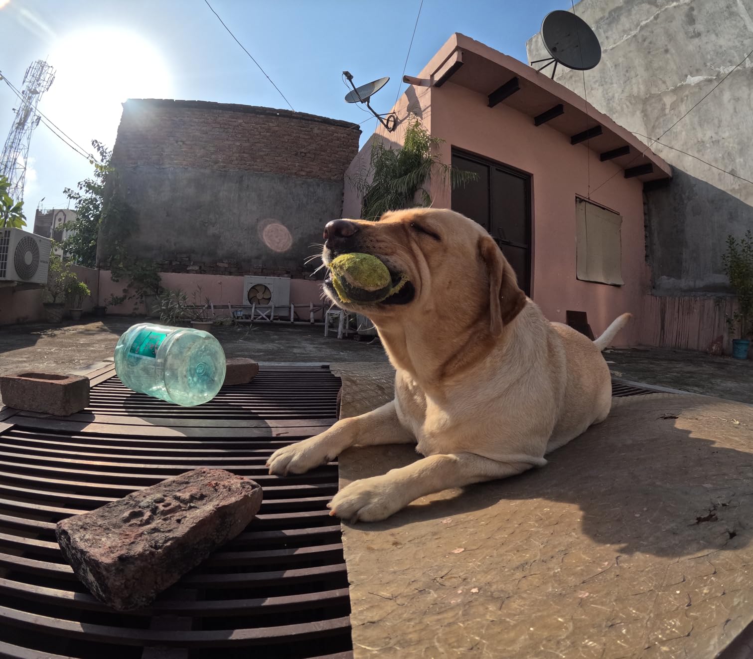 GoPro HERO12 Waterproof Action Camera with Front & Rear LCD Screens, 5.3K60 Ultra HD Video, HyperSmooth 6.0 + AutoBoost, Live Streaming with Enduro Battery