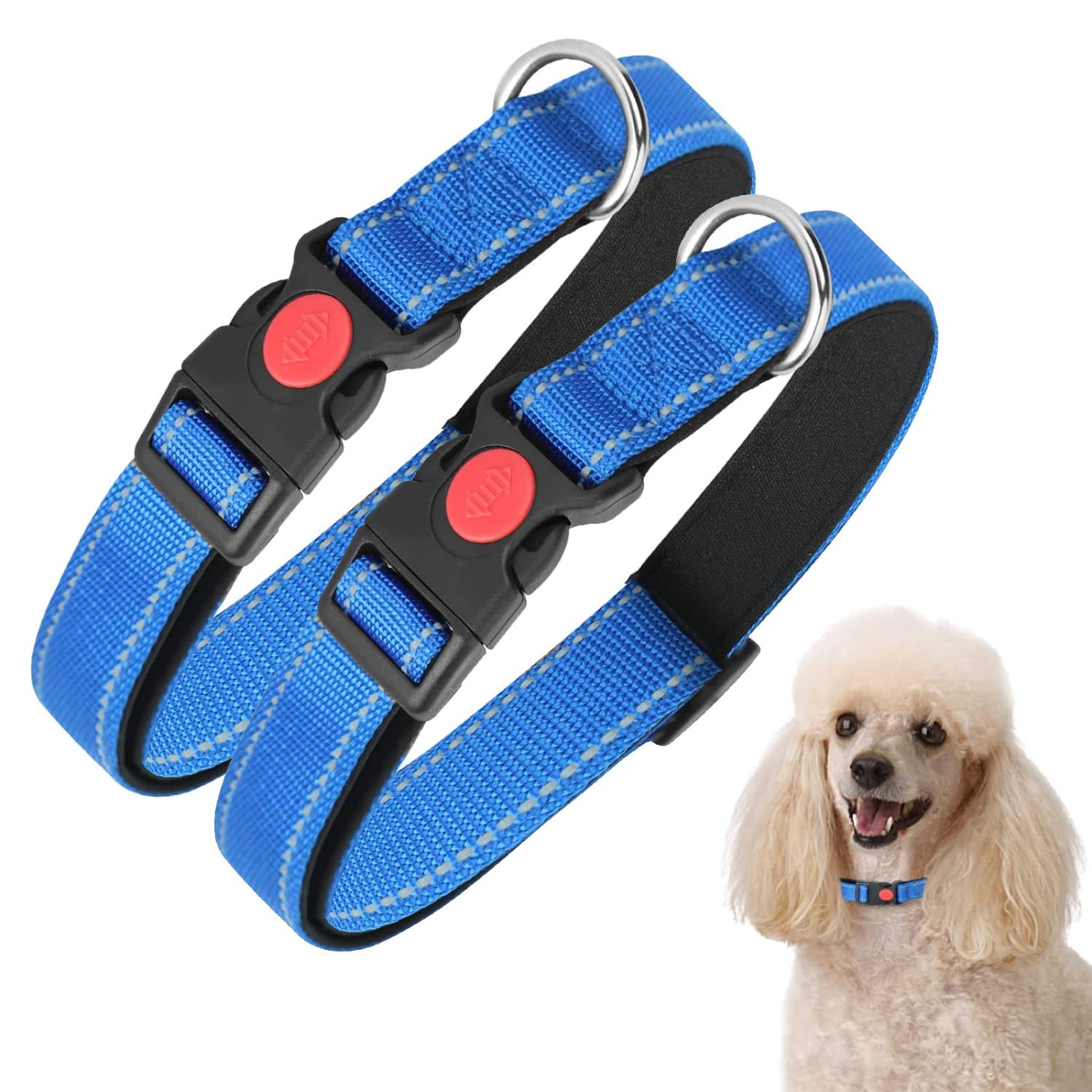 Nobleza - 2× Collar Perro, Collar Nylon Reflectante Suave Acolchado para Perros, Ajustable Collar Perro Pequeño con Cerradura de Seguridad, Collares de Entrenamiento para Perros (S, Azul)