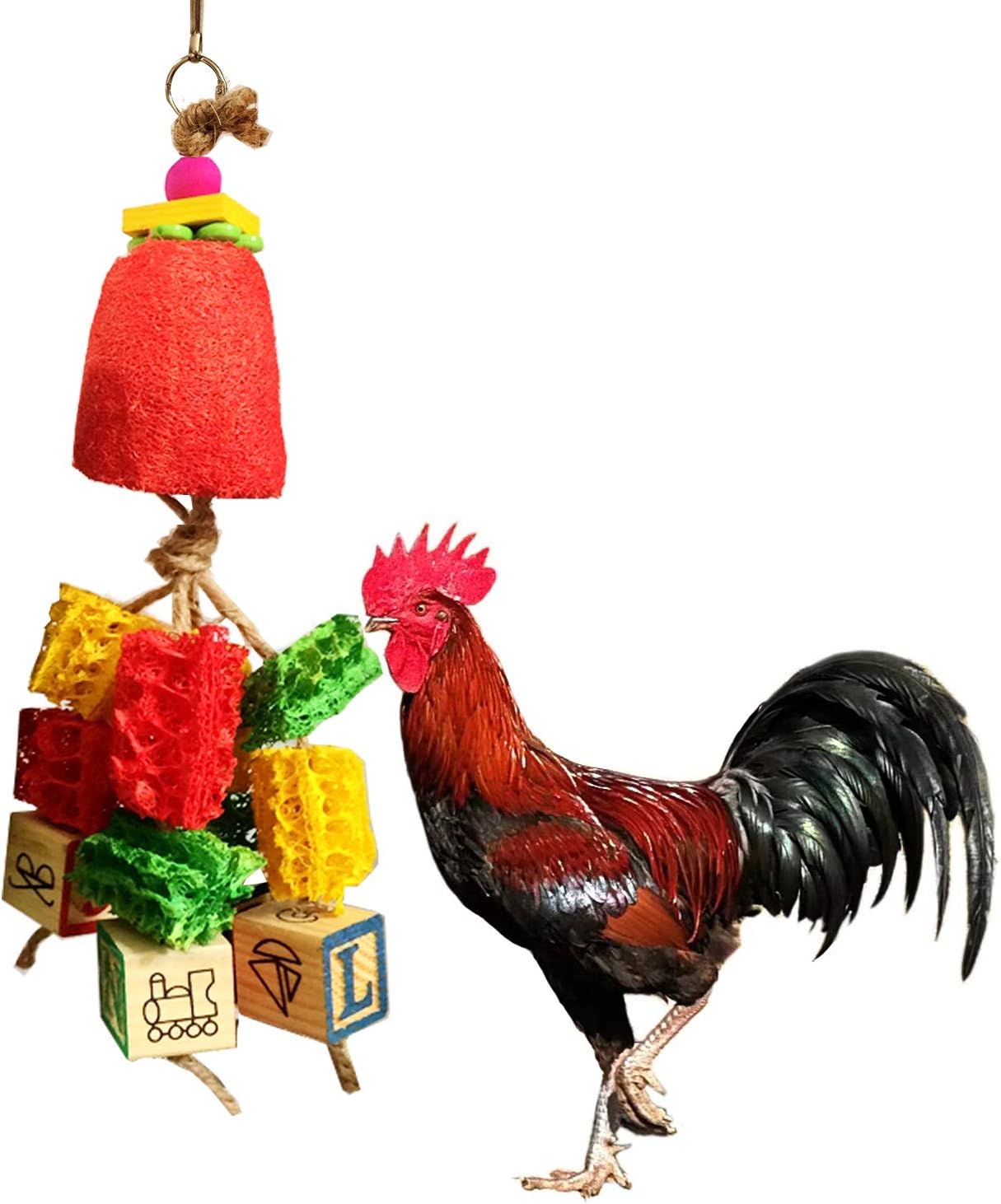 Vehomy Chicken Toys for Hen with Natural Colorful Loofah Handmade Chewing Foraging Hanging Toys for Hens Chickens