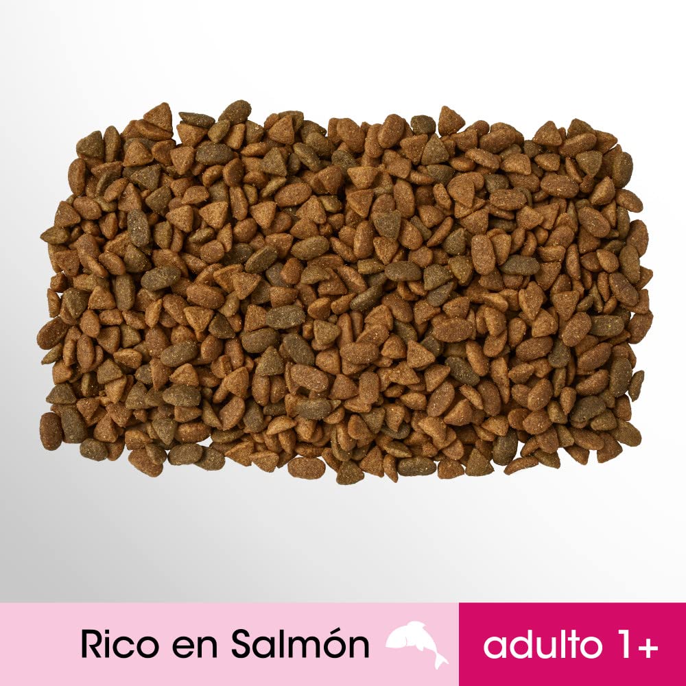 PERFECT FIT Pienso para Gatos Esterilizados Sabor Salmón (5 bolsas x 1,4kg)