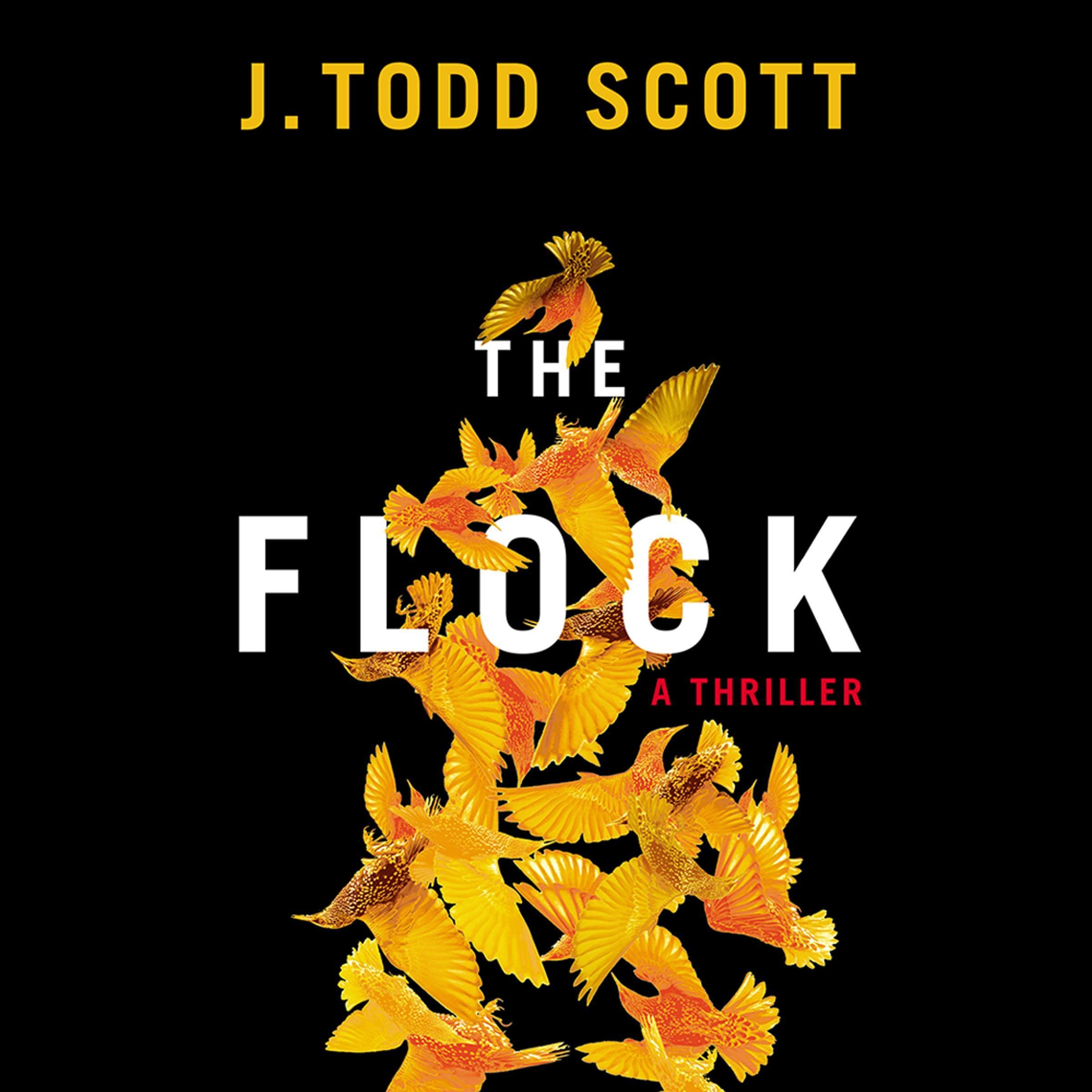 Cover art for The Flock