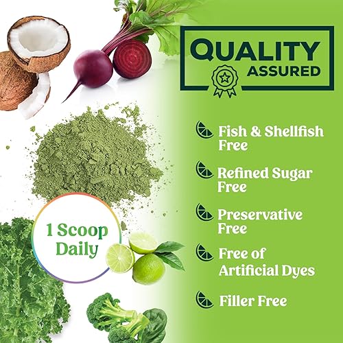 Miniatura 8 de Superalimento orgánico en polvo Super Greens - Mezcla de batidos de verduras orgánicas originales, antioxidantes y probióticos, espirulina,