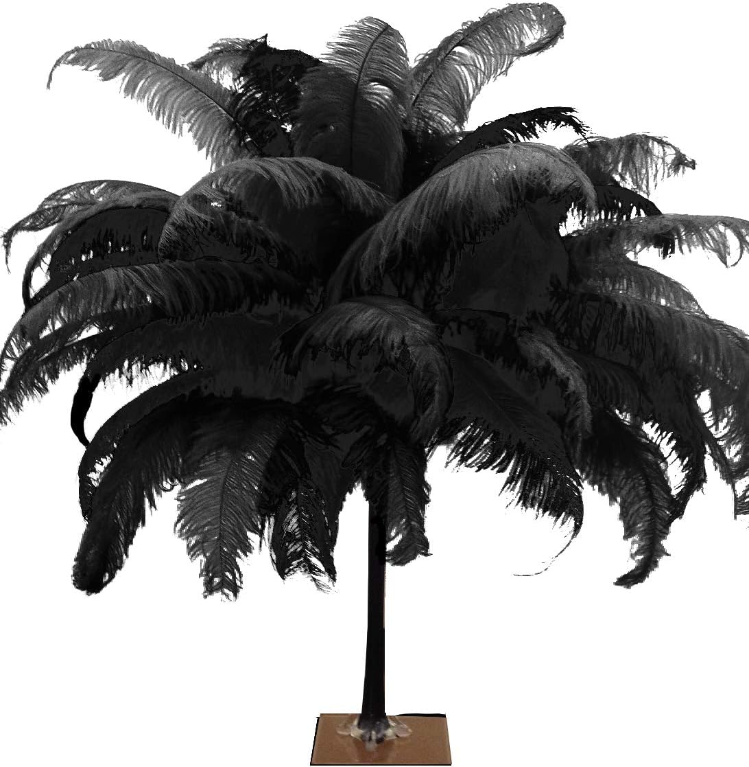 Black Natural Ostrich Feather Spads - 18-24" Wedding Centerpiece Decoration 12pc
