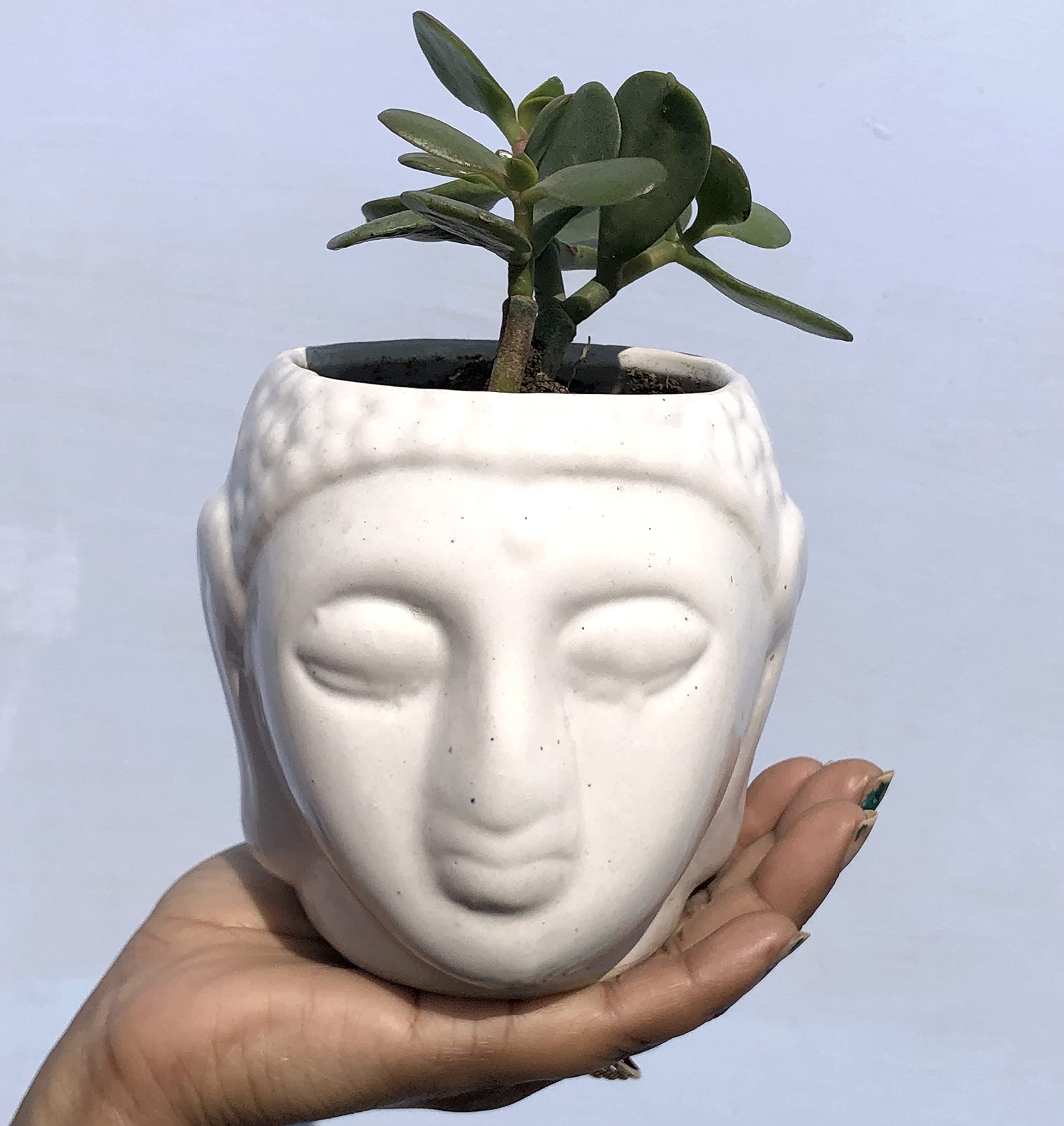 Buddha Pots | Ceramic Pots for Indoor Plants | Buddha Planter | Planters,Flower pots,gamla for Indoor,Outdoor,Balcony,Home,Garden,Office Decor,Succulent Pot - Buddha (B08J8F9Y12) Amazon Price History, Amazon Price Tracker