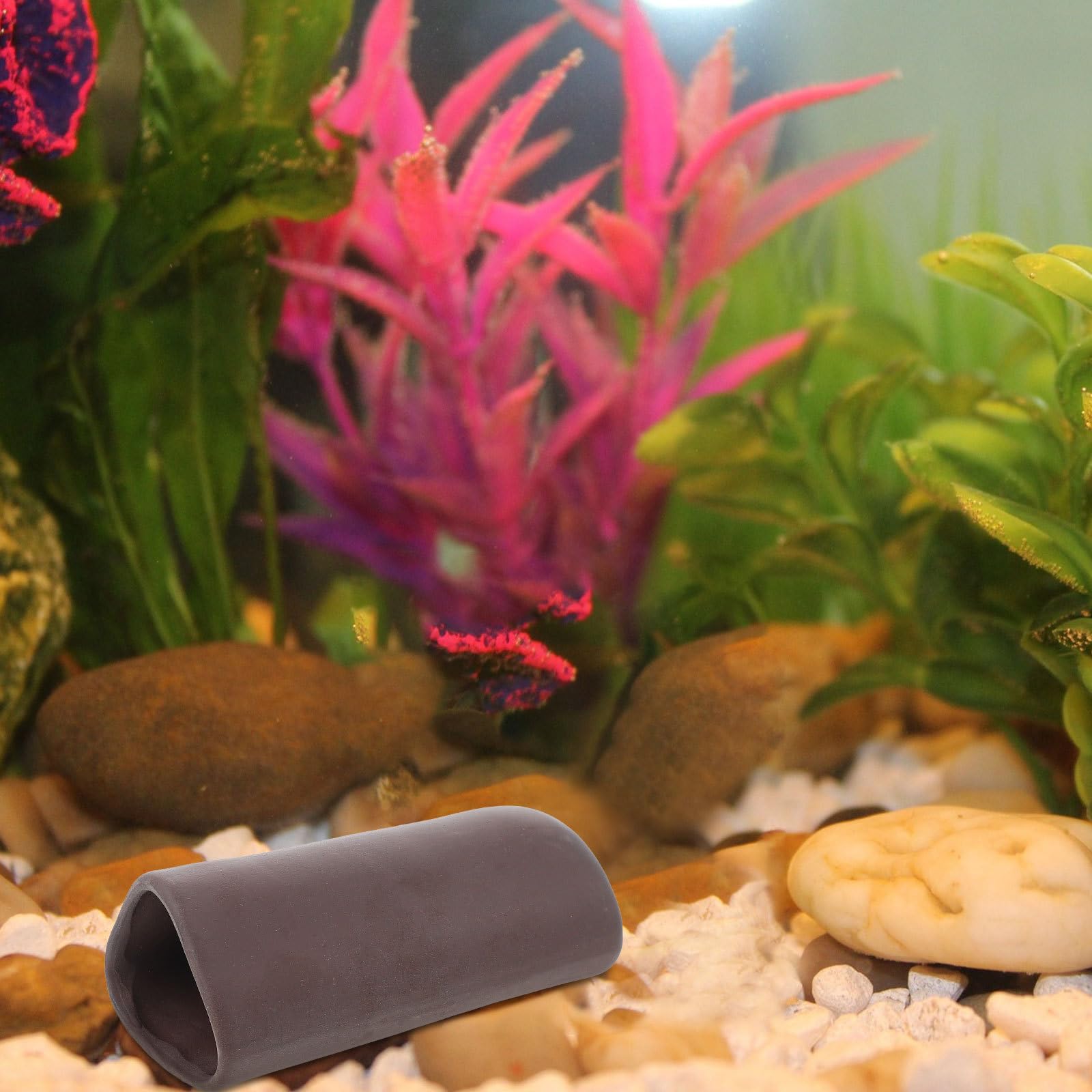 Grotte Pour Aquarium - Cachette Pour Crevettes, Betta, Tortues | Abri Naturel Eau Douce & Eau Salée - 6