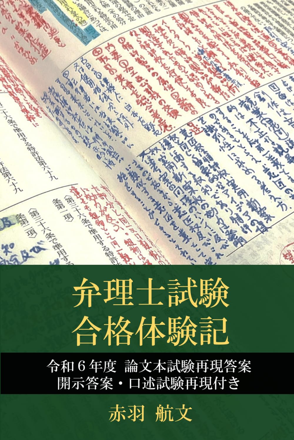 弁理士試験合格体験記: 令和6年度 弁理士試験合格までの記録と 論文再現答案・開示答案・口述再現