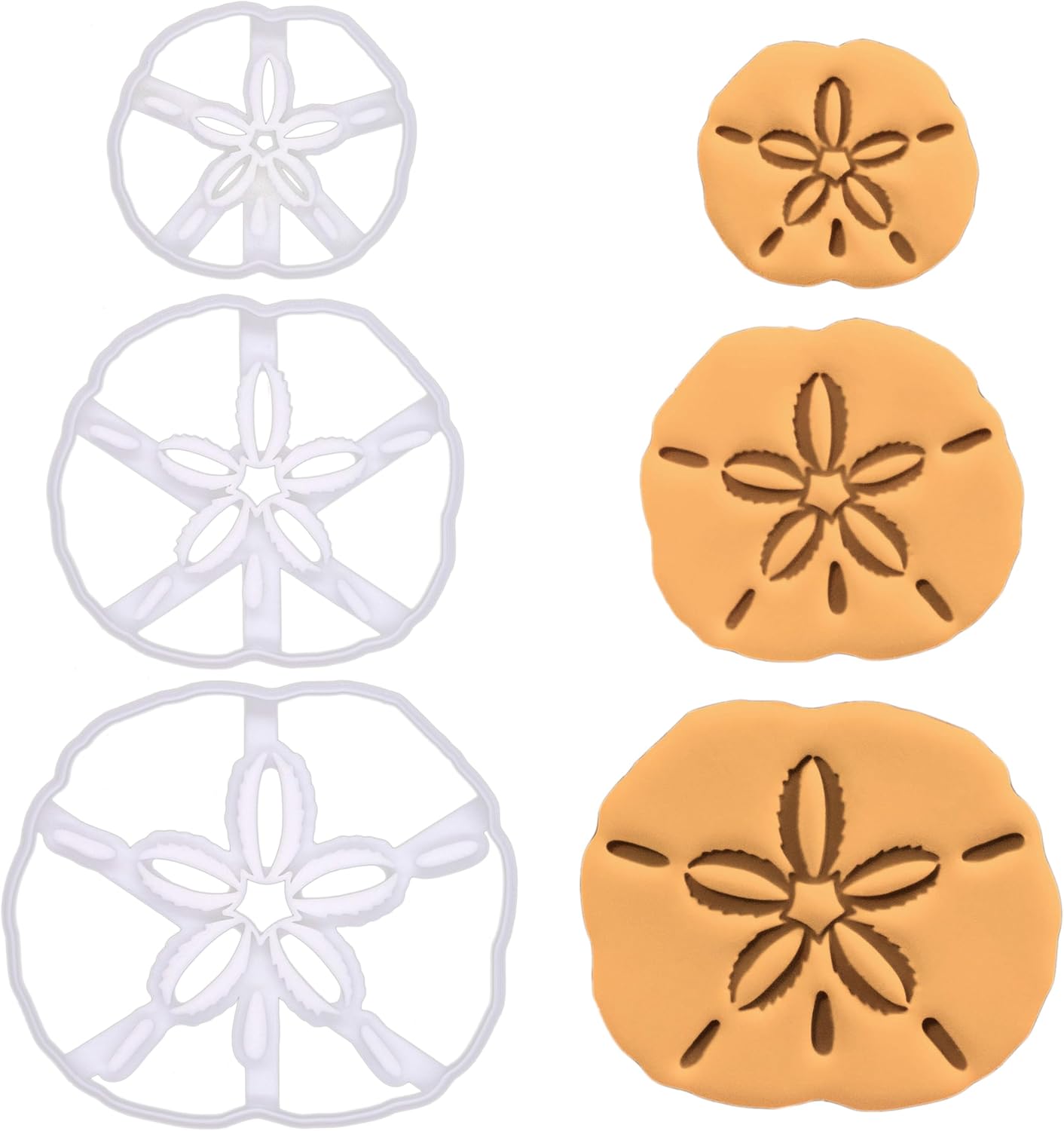 BAKERLOGY Set of 3 Sand Dollar Cookie Cutters (Regular, Large, Mega Large Size) - Bake Coastal or Beach Themed Cookies for Summer or Nautical Events, Detailed Design, ideal on fondant, dough, clay