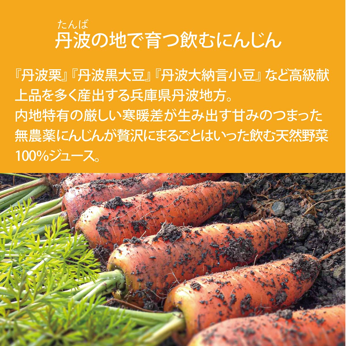 Amazon.co.jp: 無農薬にんじん使用 ストレート 野菜ジュース まるごと 