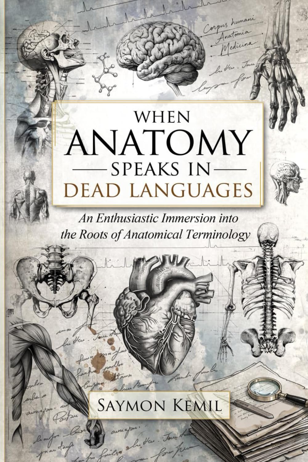 When Anatomy Speaks in Dead Languages: An Enthusiastic Immersion into the Roots of Anatomical Terminology