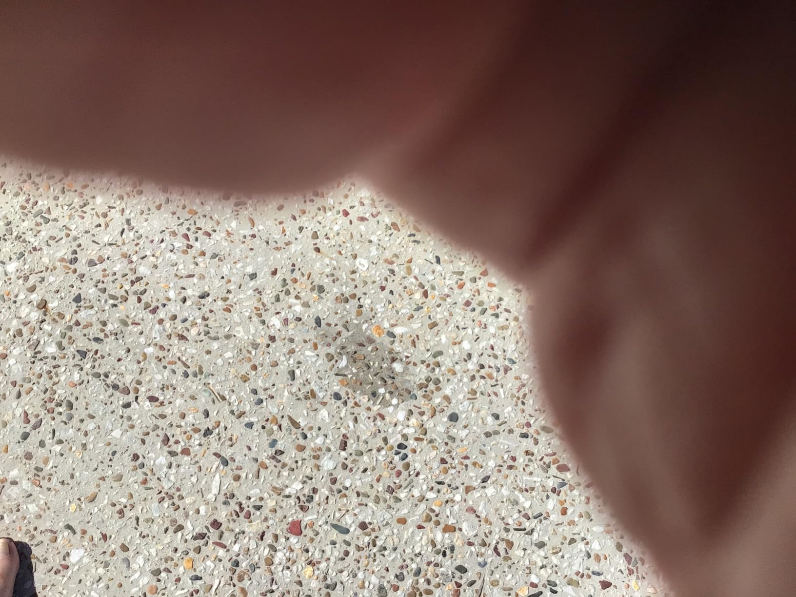 TERMINATORHSD EcoFriendly Oil Stain Remover for Concrete and Driveways (2 LB)