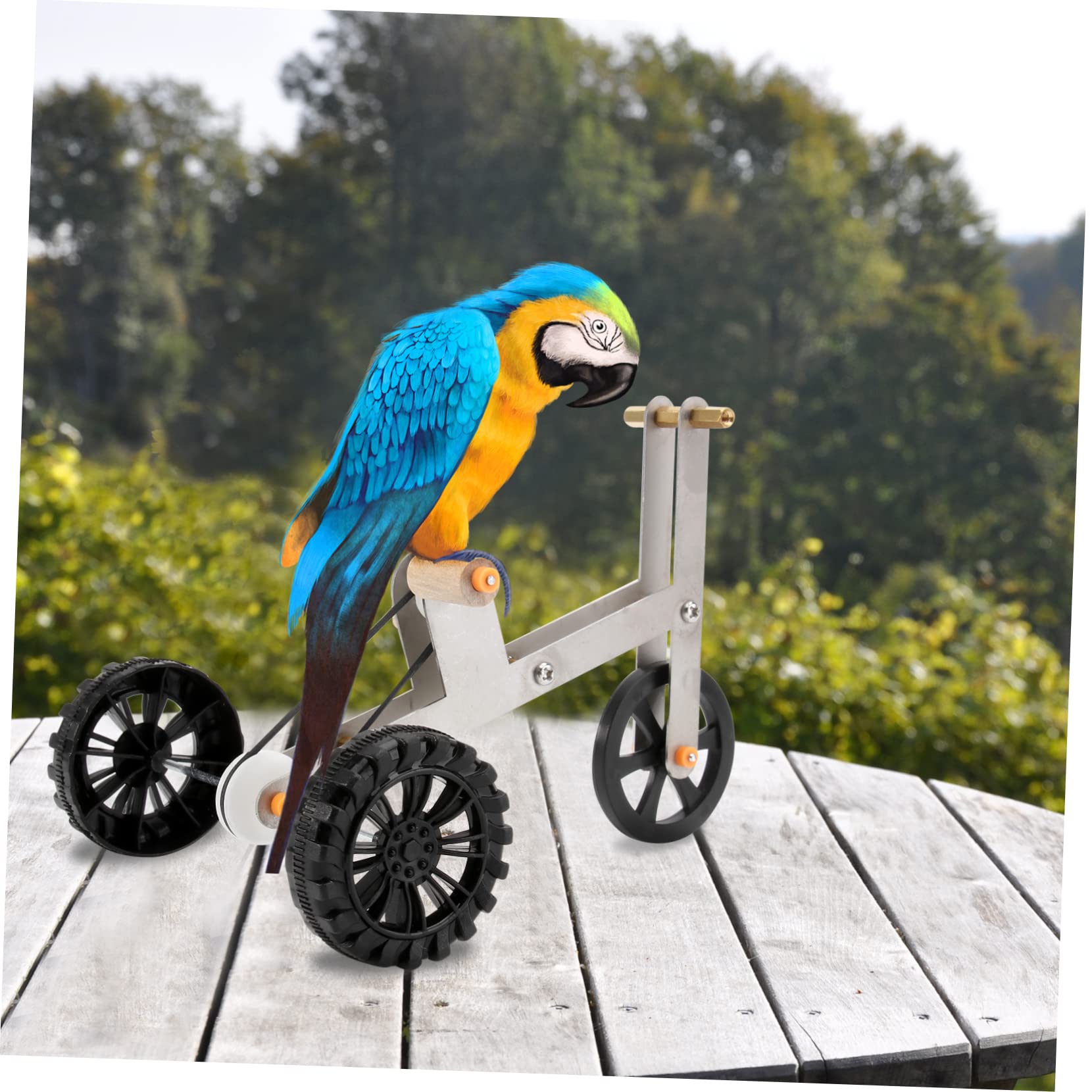 Beavorty 3piezas Juguete De Entrenamiento para Pájaros Bicicleta para Periquitos y Agapornis Prácticos para Aves Juguete Entretenido para