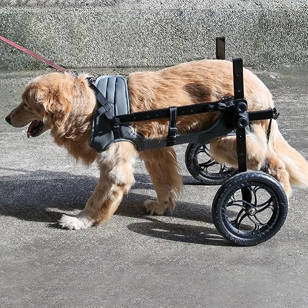Large Dog Wheelchair for Back Legs with Pet Traction Rope - Adjustable Hind Leg Support Cart with Breathable Air Mesh Harness, All-Terrain Wheels & Foldable Frame - Mobility Aid for Disabled/Injured by Blisspire - Used condition - Image 8