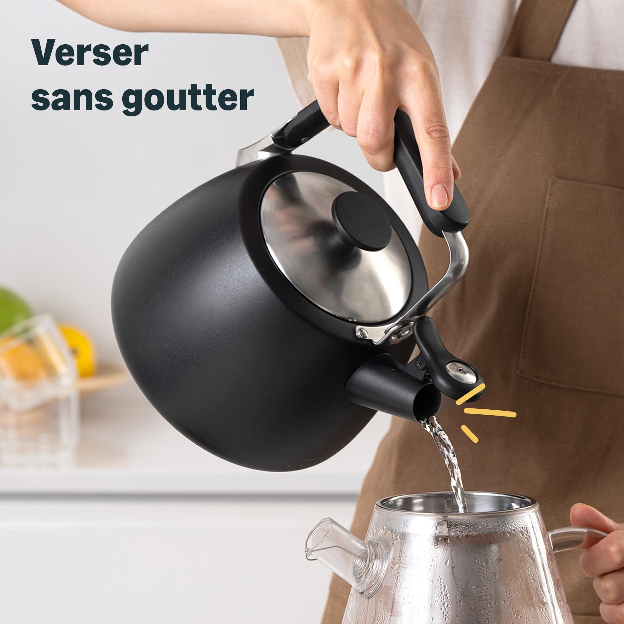 Silberthal Bouilloire à induction 2,8 l sifflante en acier inoxydable - Bouilloire pour camping - Noir