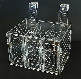 Collapsible RF-300C Acclimation Box