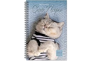 Cat Naps 2024 Weekly & Monthly Planner: Cat Napping Heaven for the Whole Year!