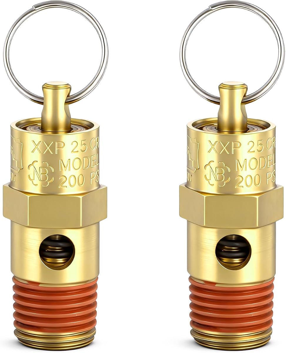 2 Pcs 1/4 Inch NPT Air Compressor Check Valve 200 PSI Boiler Pressure Relief Valve Brass Safety Check Valves Threaded Airs Vent Safety Control Valves for Air Compressor (200 PSI Pop off Pressure)