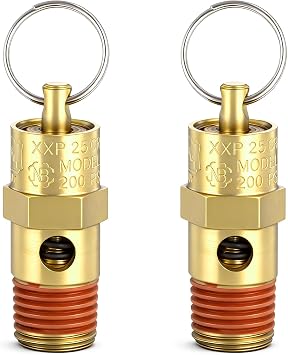 2 Pcs 1/4 Inch NPT Air Compressor Check Valve 200 PSI Boiler Pressure Relief Valve Brass Safety Check Valves Threaded Airs Vent Safety Control Valves for Air Compressor 200 PSI Pop off Pressure