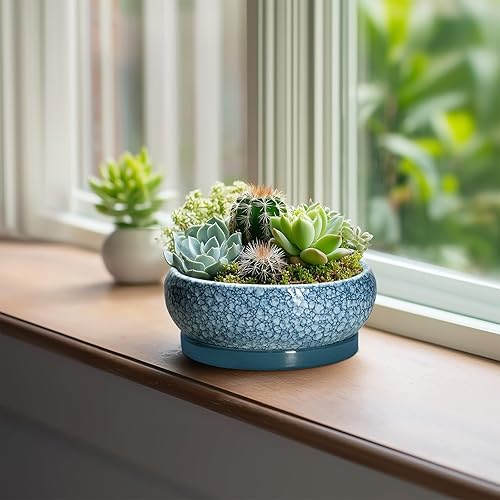 Miniatura 3 de Macetas para suculentas de 6 pulgadas, macetas de cerámica para bonsái con orificio de drenaje y platillo, macetas poco profundas para interiores y