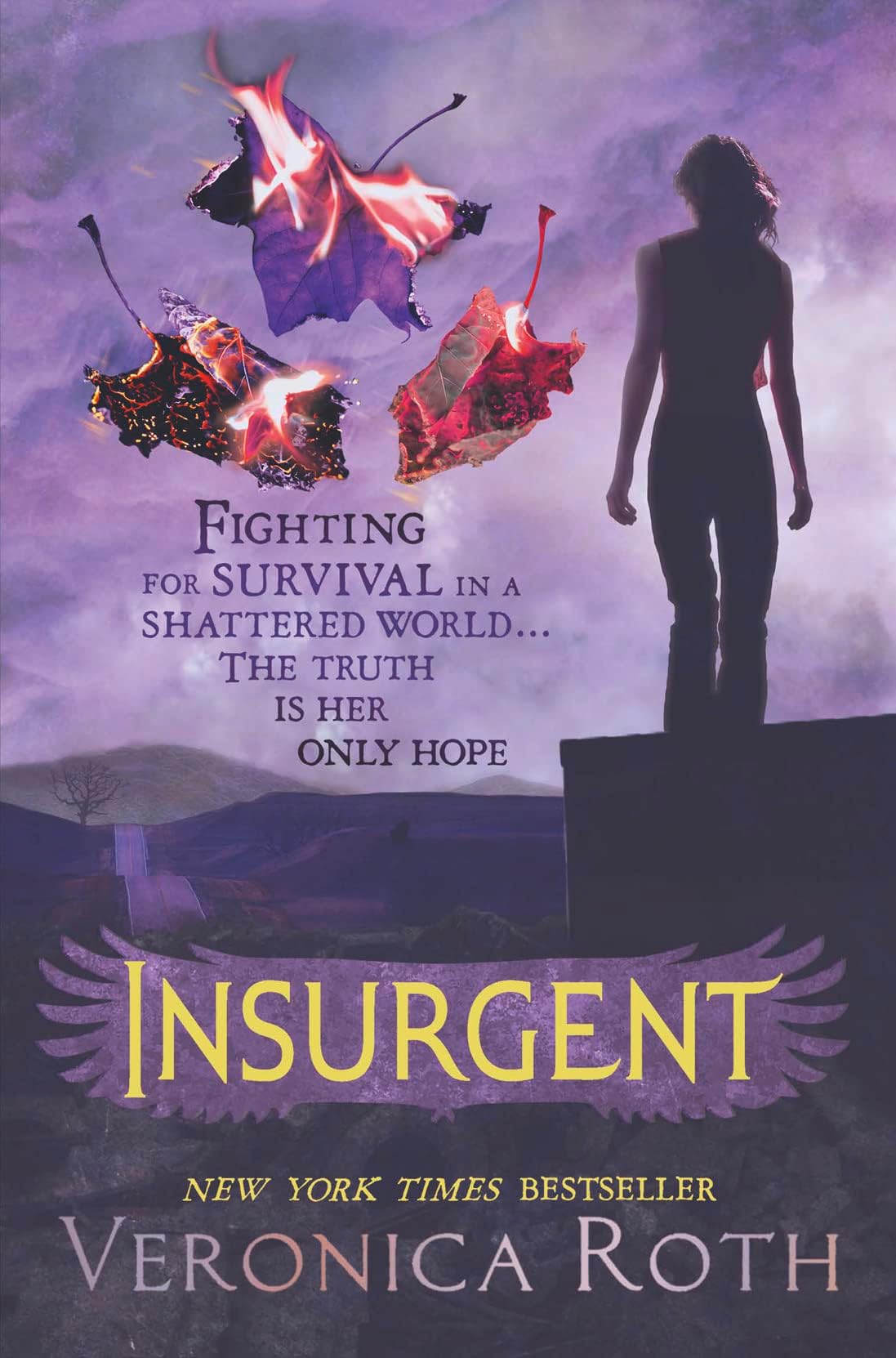 Insurgent Paperback – 1 May 2012