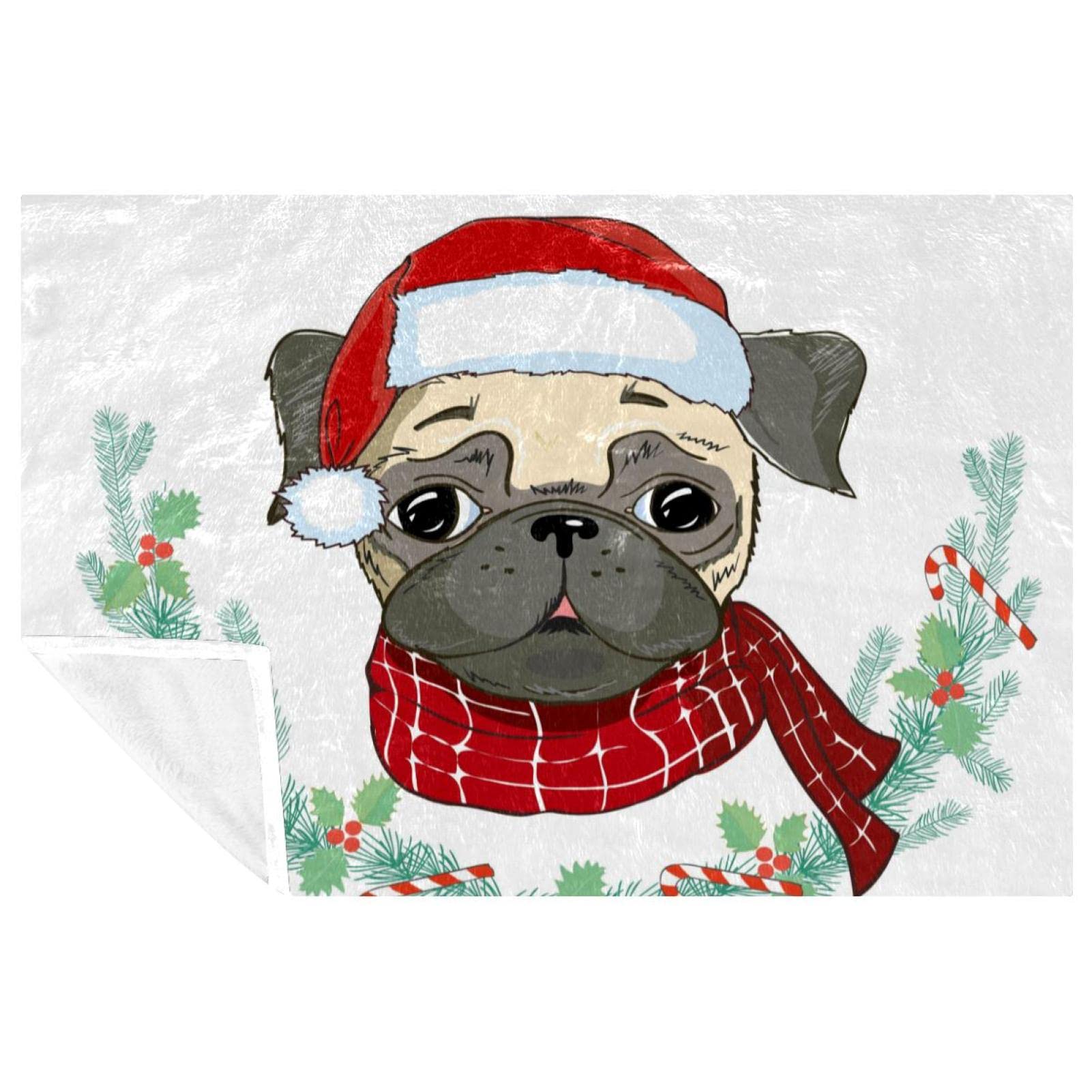Plaid d'hiver chiot pour camping et pique-nique : la couverture douce nomade