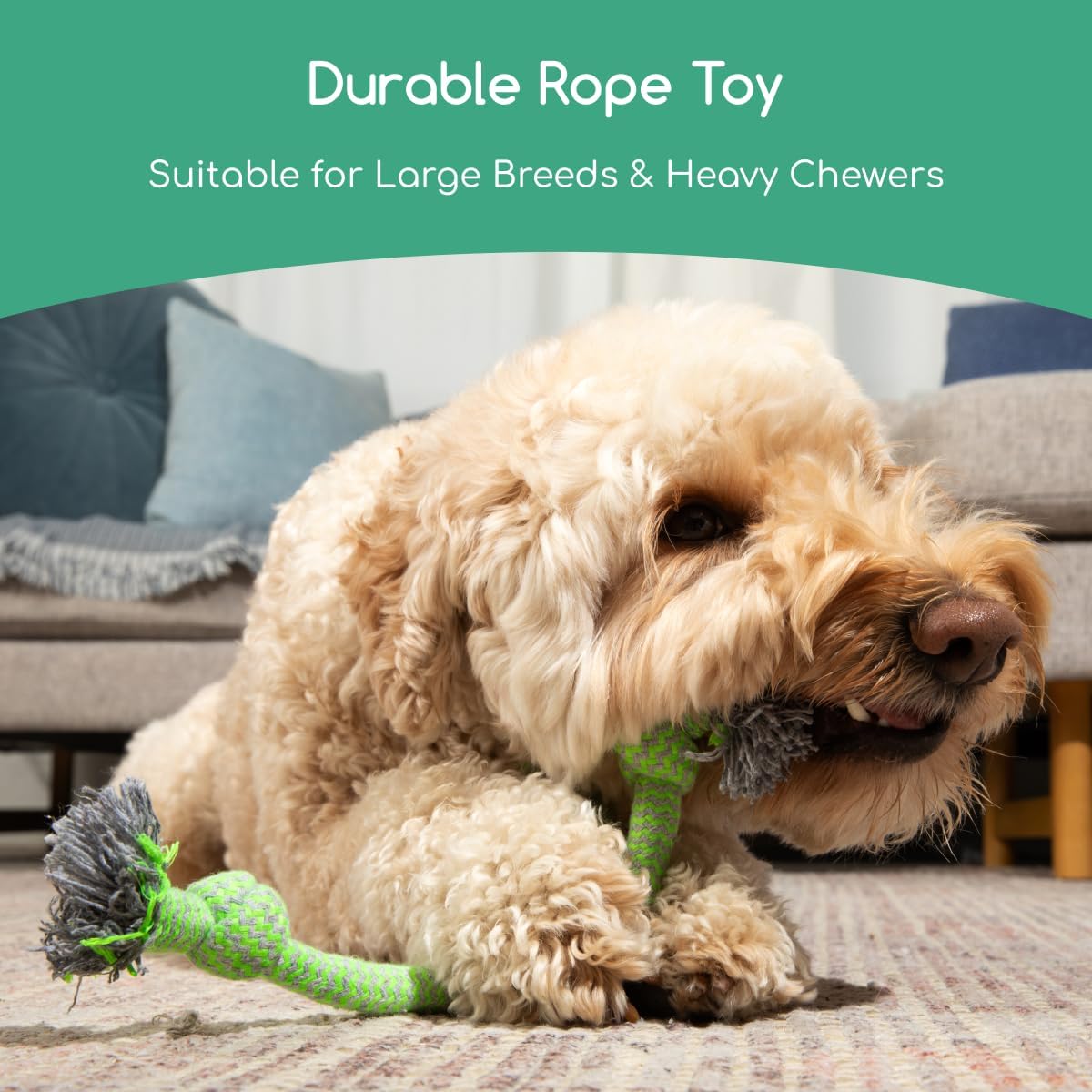 Tumbo Tugger - Dog Tree Hanging Bungee Tug Toy for Exercise - Outdoor Play Cord & Tether Tug - Tree Tugger Spring Pole Rope Dog Toy - Pets Playground for Backyard - Chew Rope