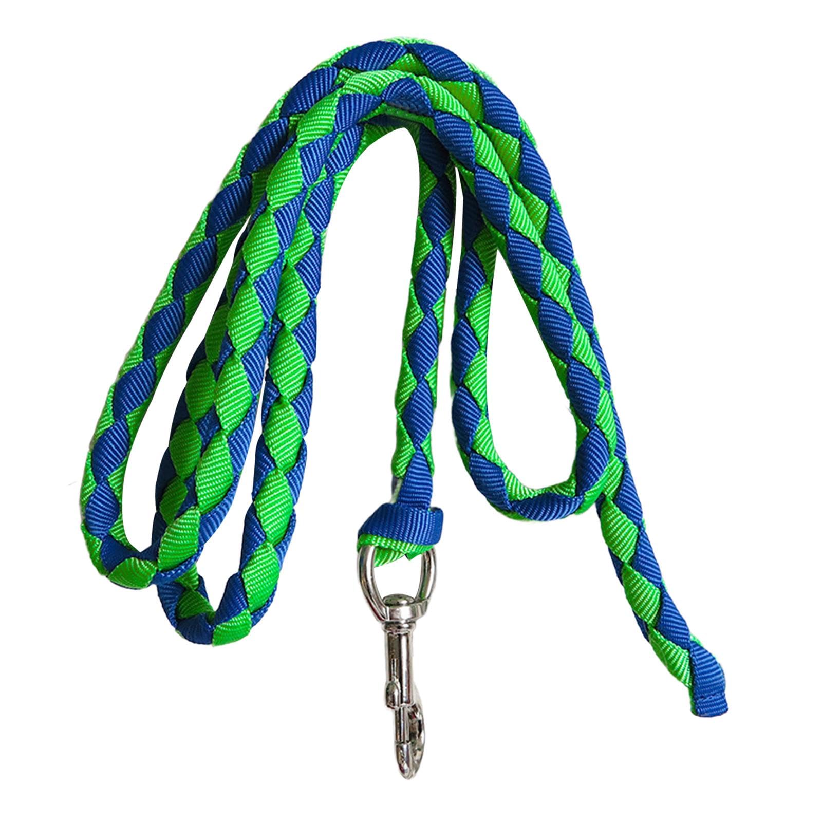 Corda per Cavallo con Attacco a Clip Sicuro, 2.5 m Verde e Blu