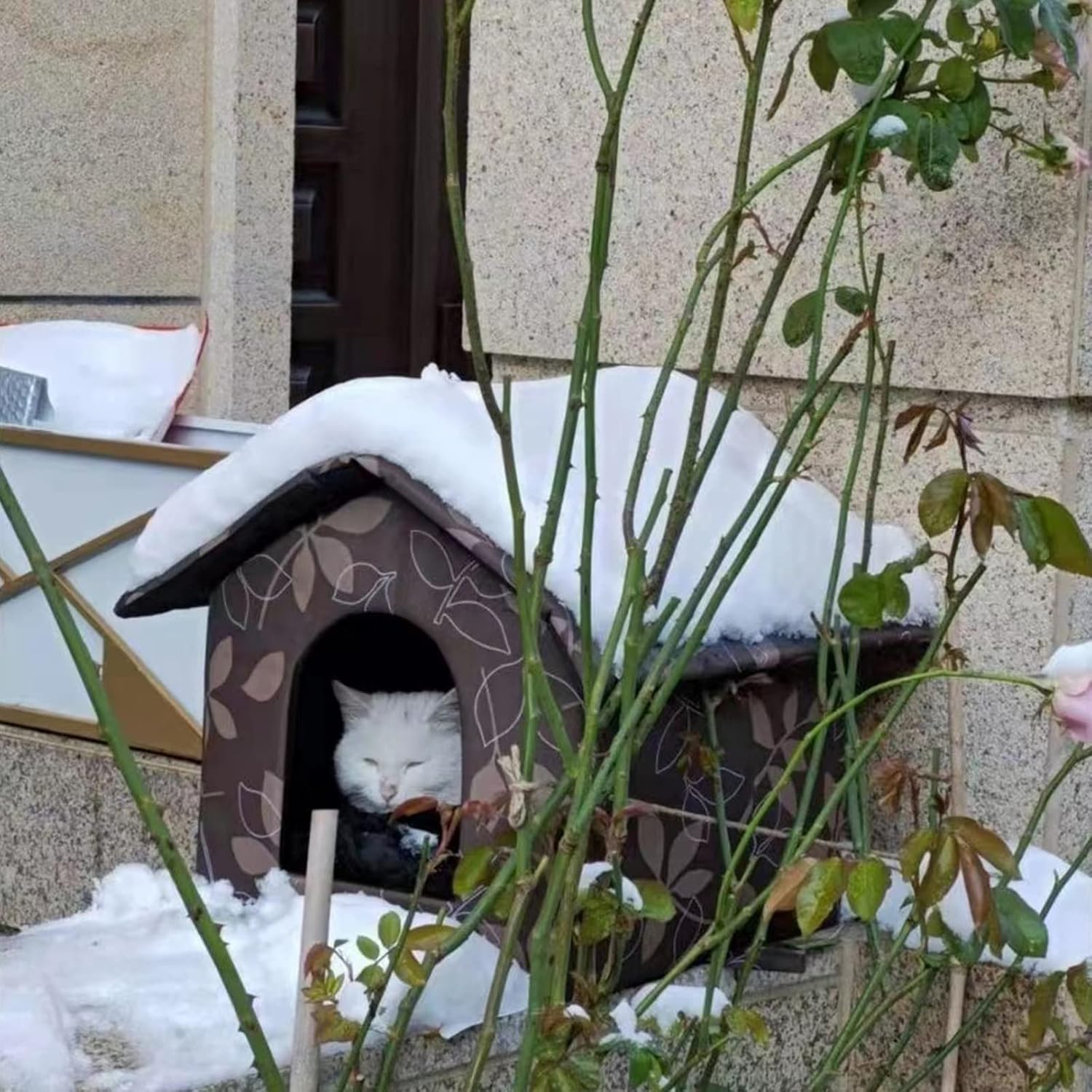 Cat Houses for Outdoor Cats, Outdoor Cat House for Winter, Weatherproof Warm and Insulated Cat House with Transparent Curtain Pet House, Stray Cats Shelter (Shabby Chic, Small-Houses) : Pet Supplies