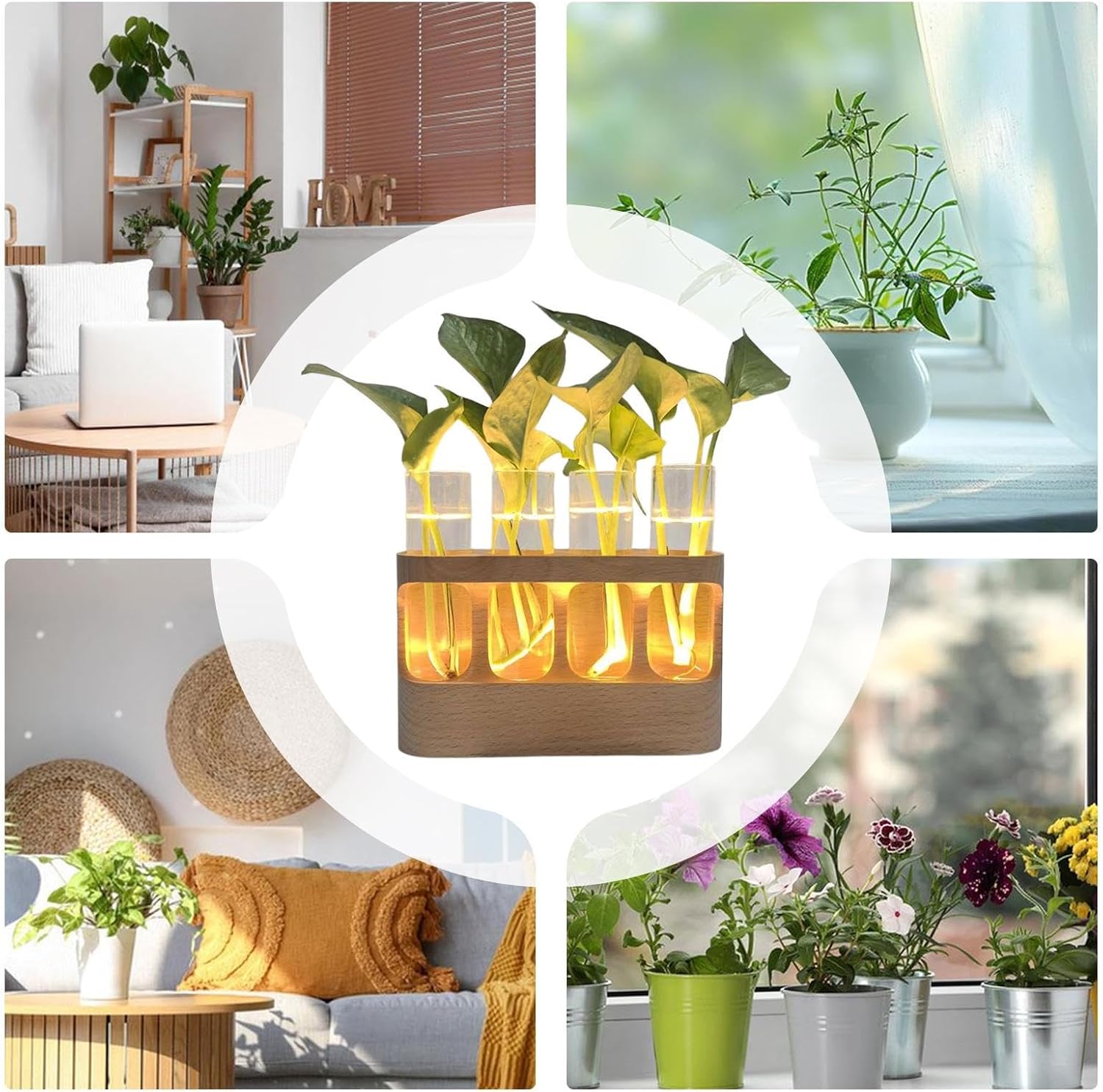 Plant Propagation Tube,Flower Terrarium with Adjustable LED Lights,Glass Planter Vase for Hydroponic Plants - for Men Women Youth Teens Seniors Bedroom Bathroom Dormitory Home