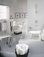 Vista 4 de Moen Glacier White Home Care DN7015 - Barra de seguridad para inodoro, rieles de inodoro para personas mayores, DN7015