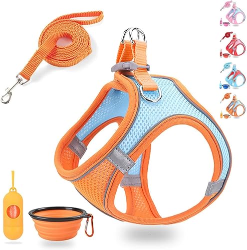 Miniatura 1 de Arnés para perro pequeño, arnés para cachorro y correa para caminar a prueba de escape, cómodo arnés de malla de aire para perro con tira