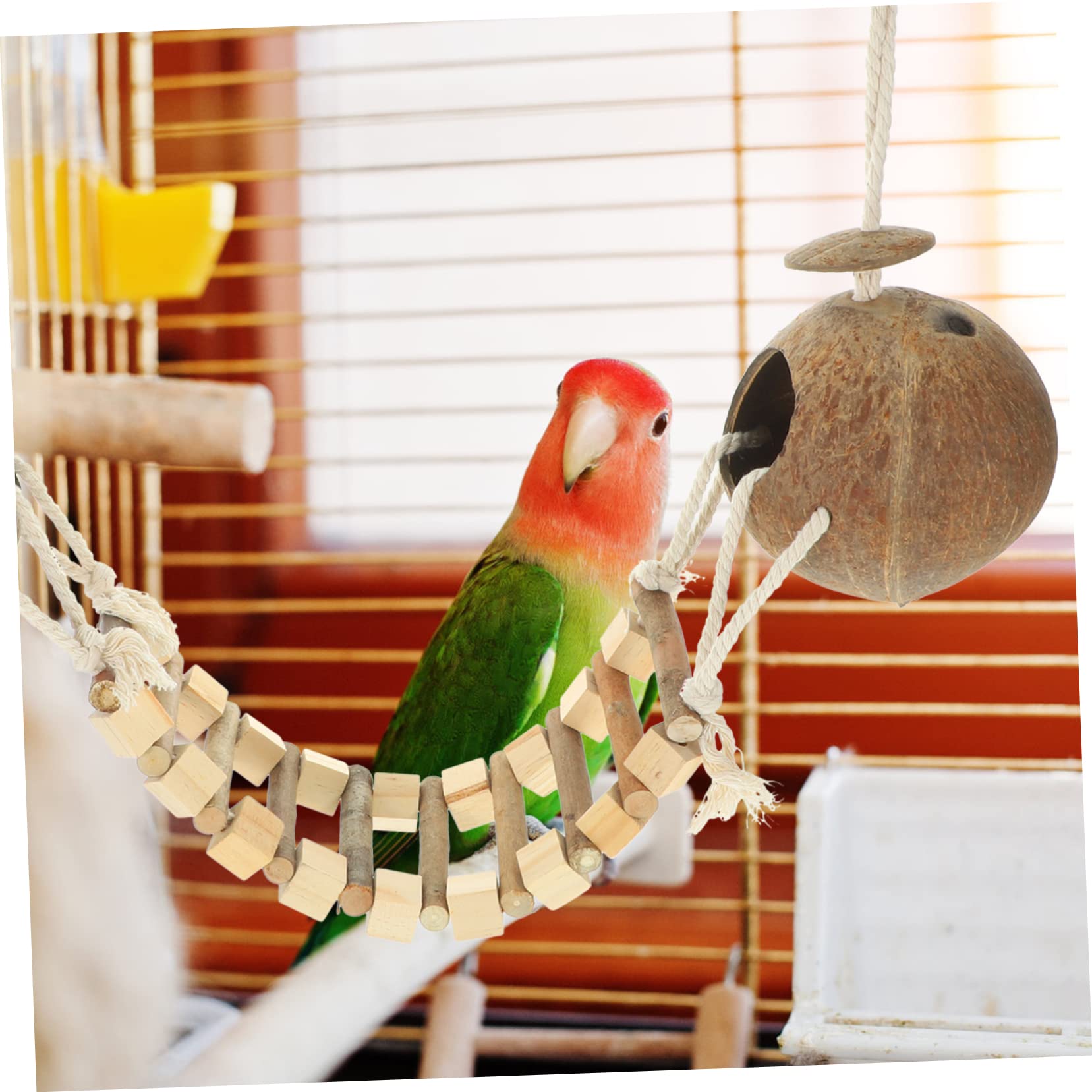 Casa Colgante para Pájaros Nido De Pájaro con Escalera Hecho De Cáscara Natural Tamaño Pequeño para Jaula De Cría Aves Mascotas Periquitos