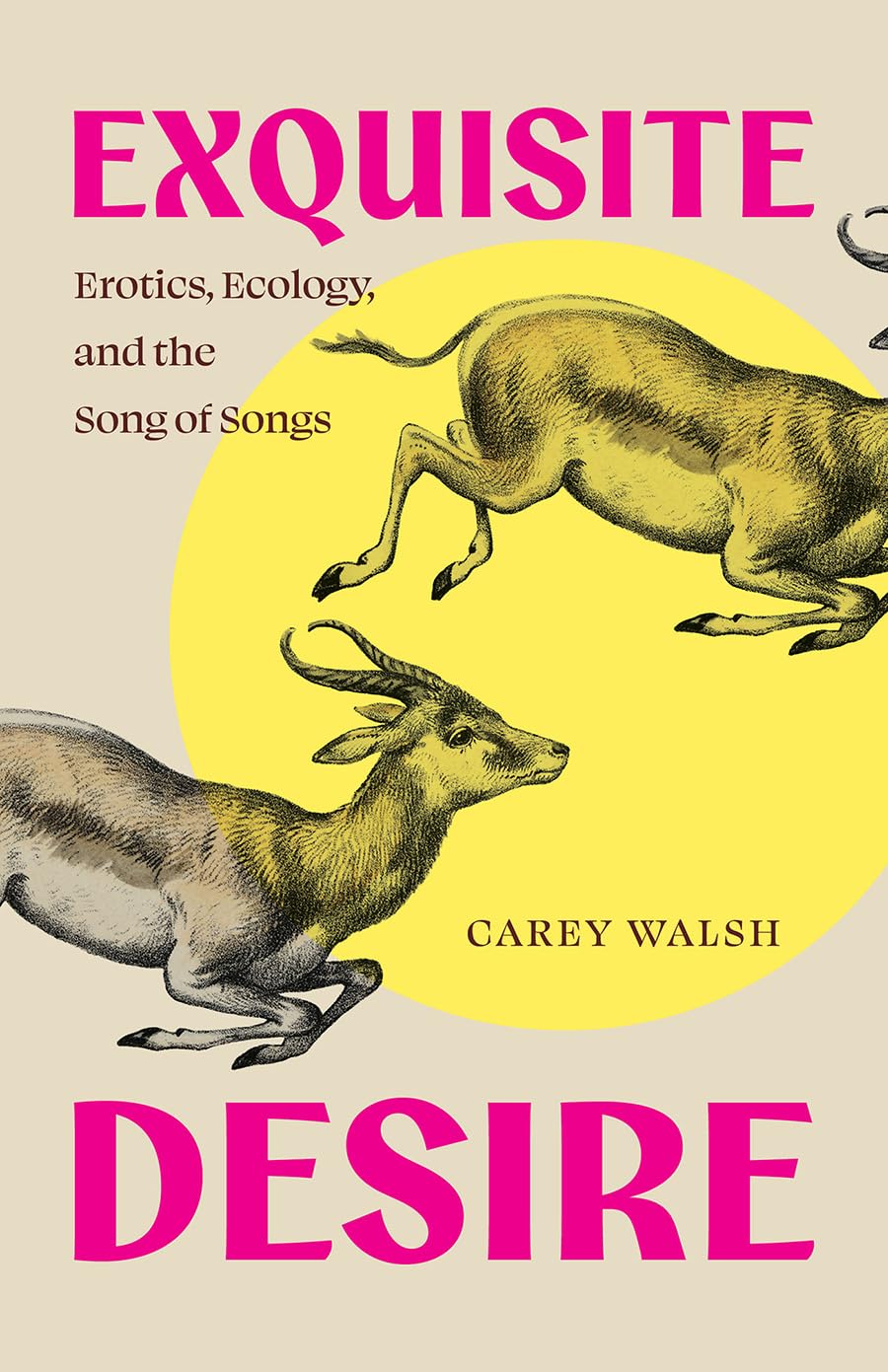 Exquisite Desire: Erotics, Ecology, and the Song of Songs, Updated Edition