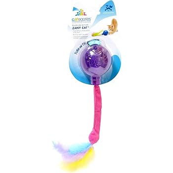 orange spotted filefish care