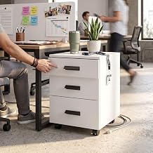 FFO FileMate Wooden Filing Cabinet with 3 Drawers, Office File Storage Cabinet, Compact Document Organizer for Home Office,Study Room & Bedroom, White DIY