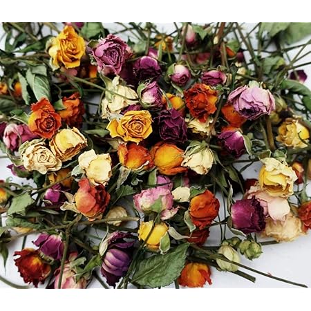 Amazon Aliceフラワーデザイン スプレーバラ ドライ オレンジ ハーバリウム ドライフラワー 小分け花材 ドライフラワー オンライン通販