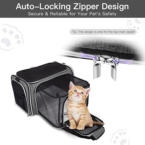 Miniatura 4 de BAGLHER Cat Carrier Bag,Airline Approved Pet Carrier Soft Side Pet Travel 5 Sides Open Doors 3 Sides Expandable Foldable Dog Carrier with Fleece Pad