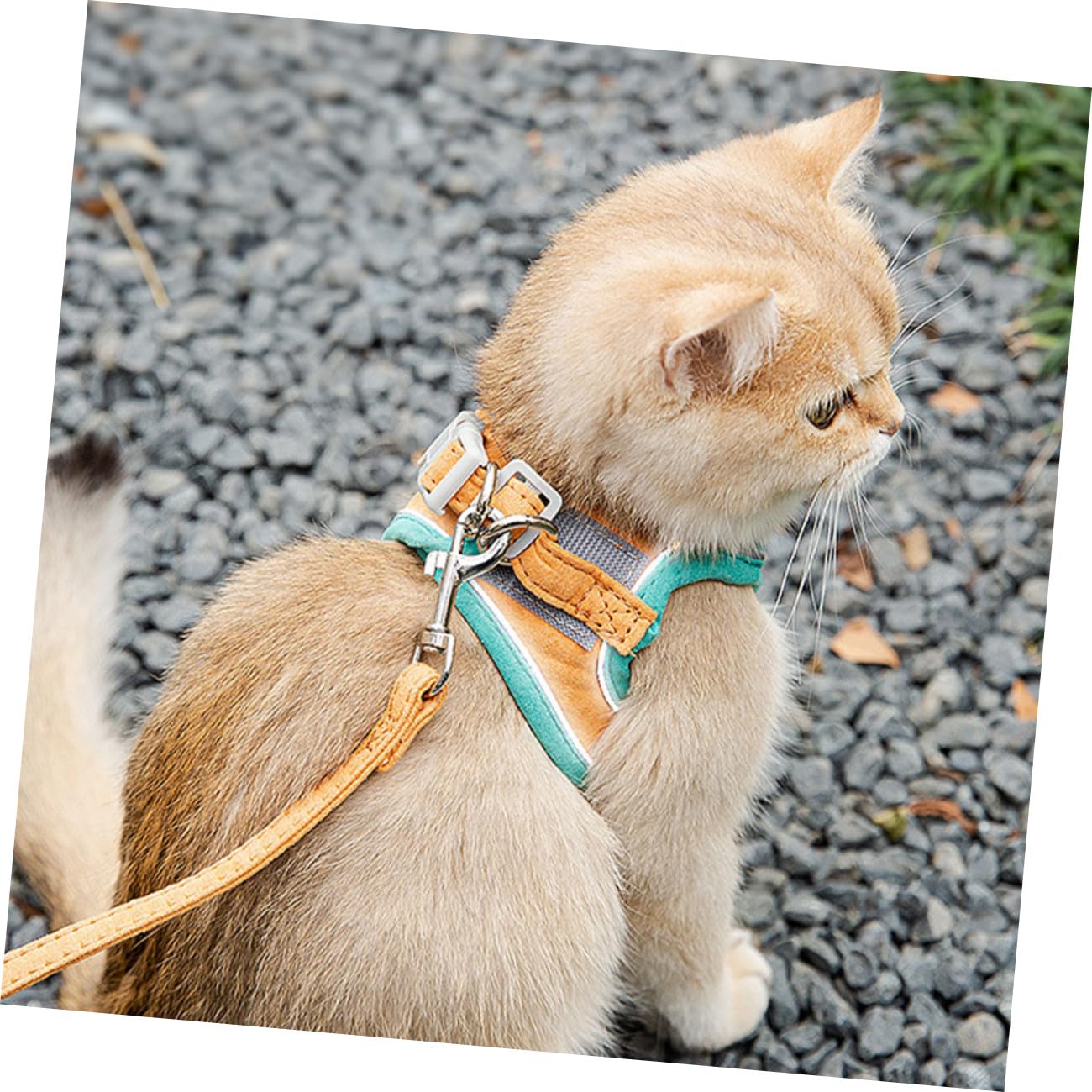 Yardwe 3sätze Katzengeschirr Mit Leine Verstellbar Atmungsaktivem Material Geeignet Für Outdoor-aktivitäten Reflektierend Und Sicher Für Ihre Katze