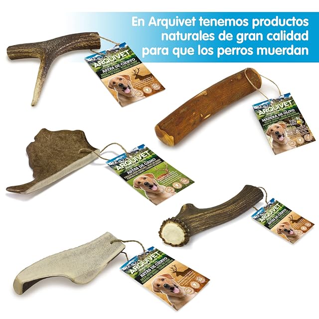 Foto 6 de 7 de Arquivet Asta de ciervo - mordedor para perros - S (25-50 g)