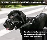 Vista 4 de Collar de cabeza de perro, acolchado con costuras reflectantes para perros pequeños, medianos y grandes, evita el problema de tirones pesados