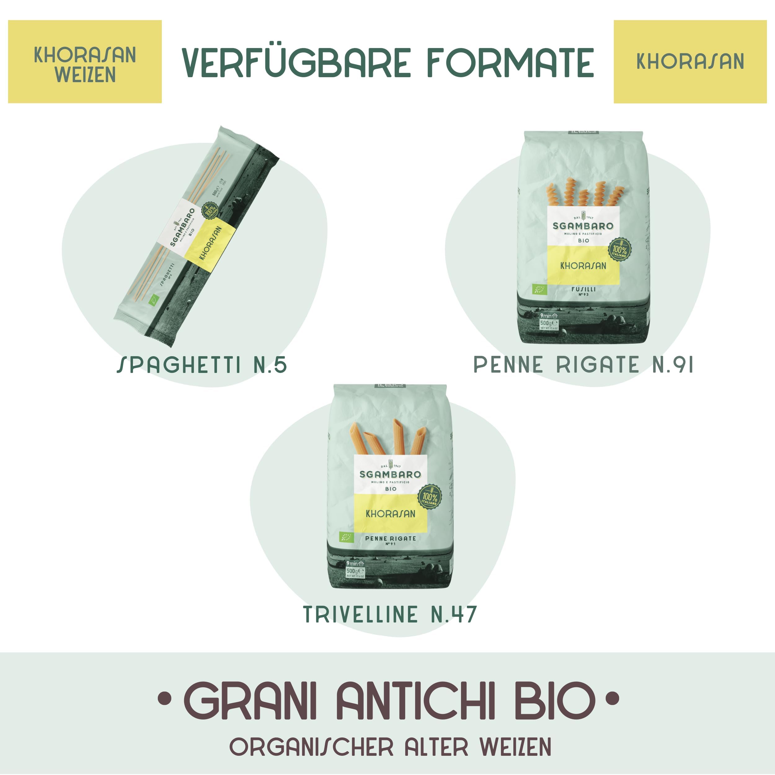 Sgambaro Bio Pasta Spaghetti N.5-12 x 500 g aus Khorasan-Weizen – Antiker, proteinreicher Weizen, 100% italienischer Anbau – Vielseitig in der Küche und nährstoffreich