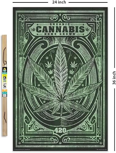 Vista 18 de Póster de cannabis orgánico cultivado en casa, 24 x 36 pulgadas