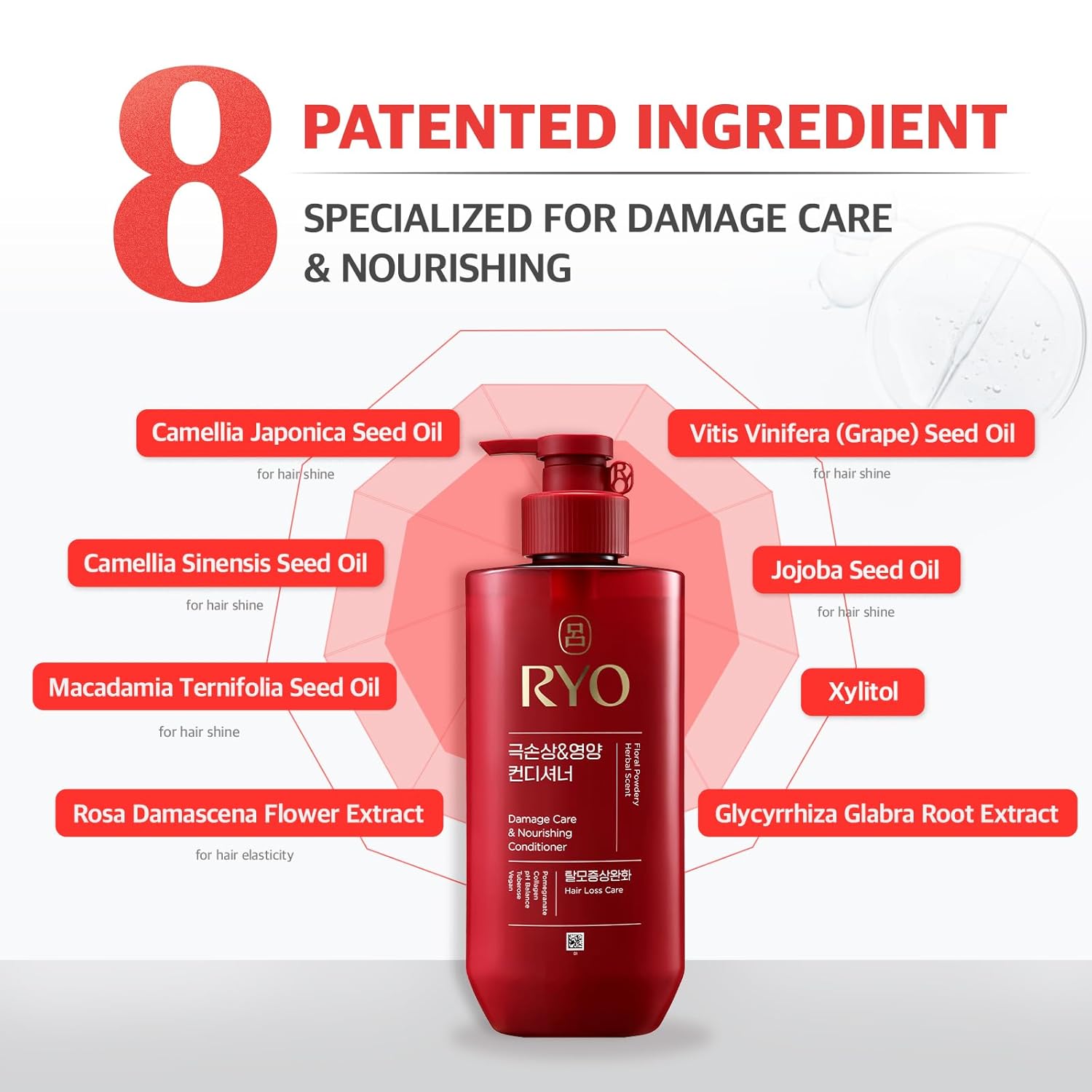 RYO Hair Strengthen & Volume Shampoo with Damage Care & Nourishing Conditioner | Korean Ginseng Haircare Set for Thinning, Weak or Dry Hair | Strengthening & Volumizing K-Beauty Formula | Holiday Gift - Image 6