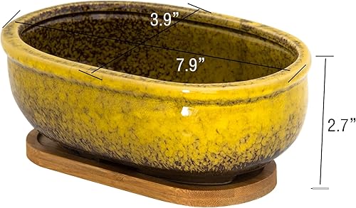 Miniatura 9 de Macetas para suculentas, macetas rectangulares de 7.9 pulgadas de largo con bandeja de drenaje, macetas poco profundas para plantas de interior,